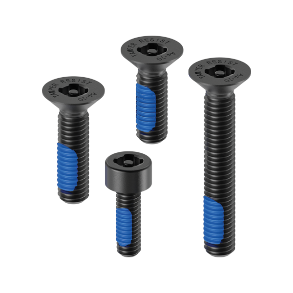 Accessory - Anti-Theft Screw Kit
